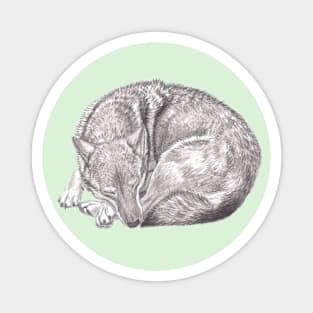 Sleeping Wolf - Inktober Magnet